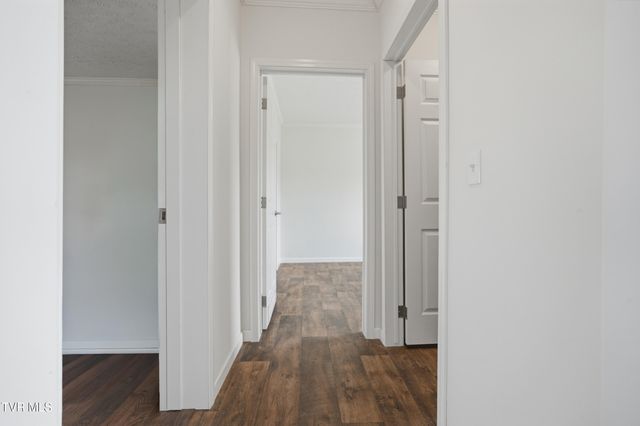 445 Sliger Road, Telford, TN 37690