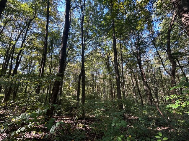 16604 Texas Road SE, Heath, OH 43056