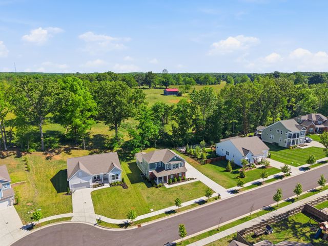 7143 Pepper Tree Cir, Fairview, TN 37062