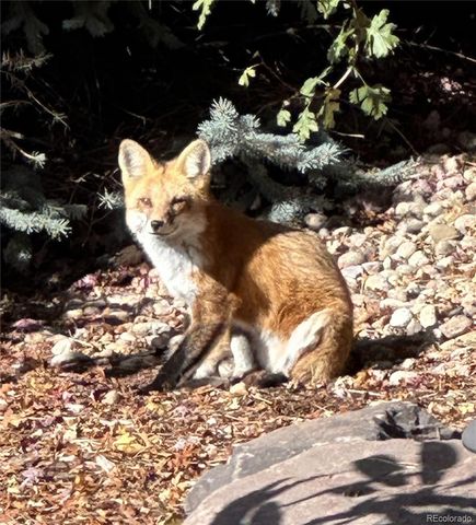 20999 Woodside Lane, Parker, CO 80138