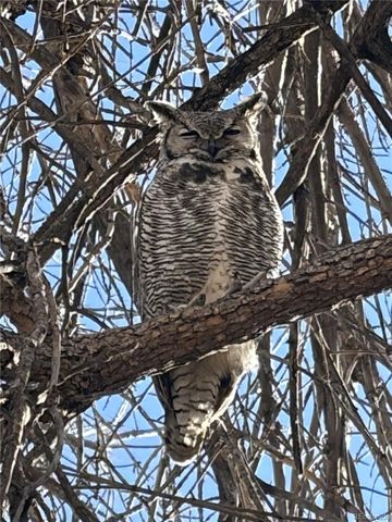 20999 Woodside Lane, Parker, CO 80138