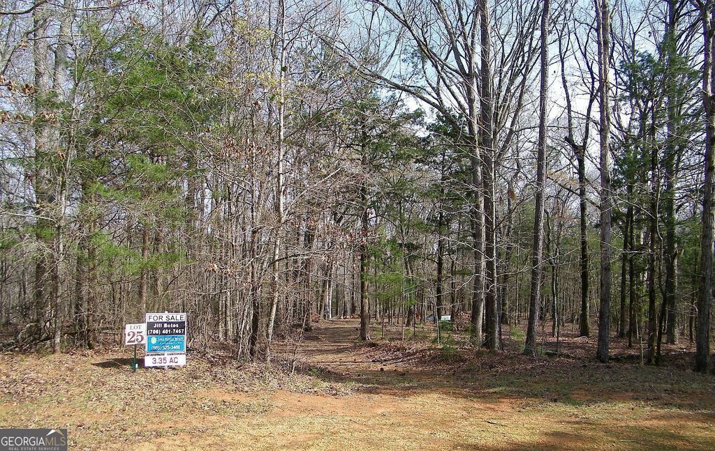LOT 25 Benjamin Brown Court, Elberton, GA 30635 — exterior