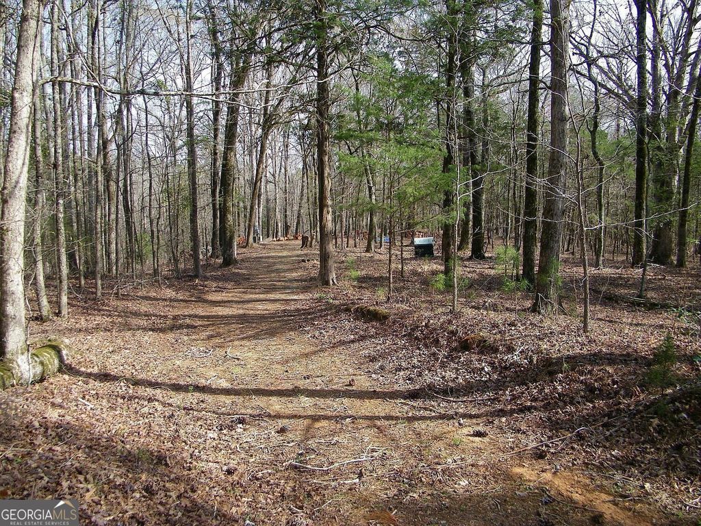 LOT 25 Benjamin Brown Court, Elberton, GA 30635 — photo 3