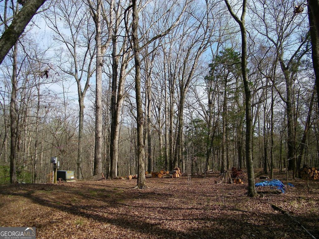 LOT 25 Benjamin Brown Court, Elberton, GA 30635 — photo 4