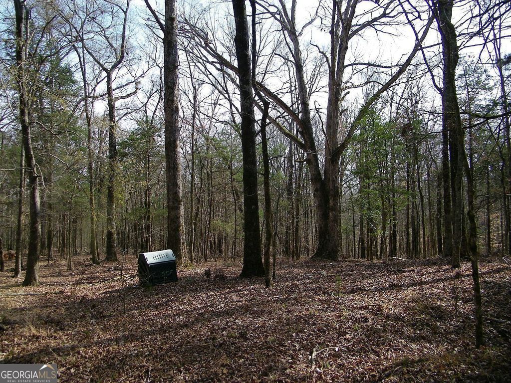 LOT 25 Benjamin Brown Court, Elberton, GA 30635 — photo 5