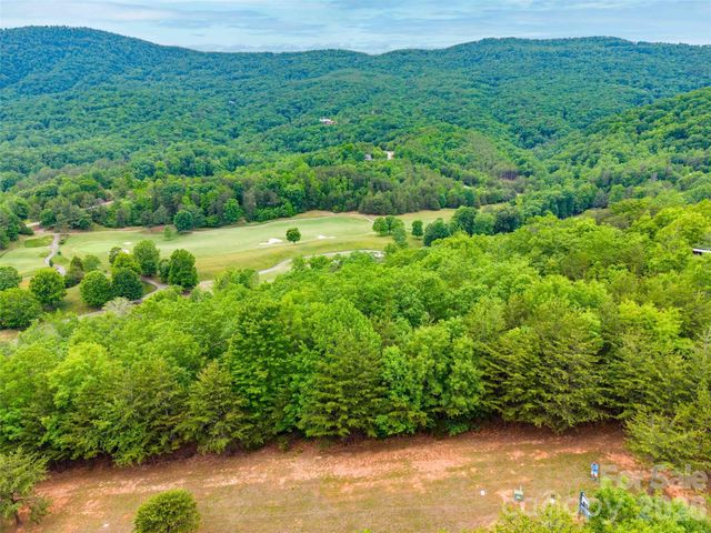 38 Deep Gap Farm Road E 38, Mill Spring, NC 28756