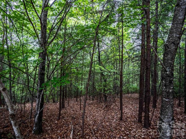 38 Deep Gap Farm Road E 38, Mill Spring, NC 28756