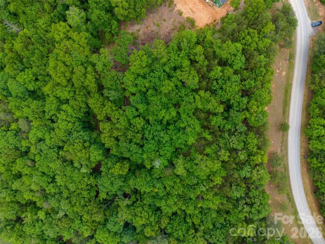 38 Deep Gap Farm Road E 38, Mill Spring, NC 28756