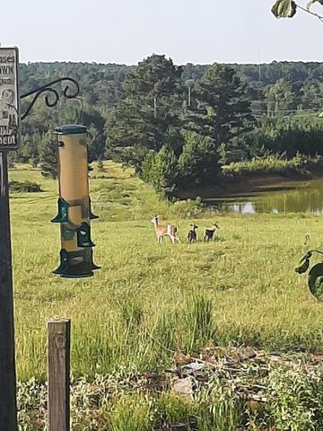 288 Evergreen Dr., Marshall, TX 75672