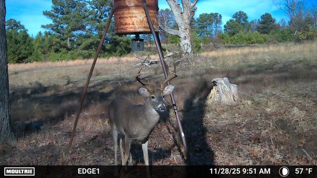 288 Evergreen Dr., Marshall, TX 75672