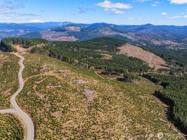 0 Lot 2 Mt Brynion Road, Kelso, WA 98626