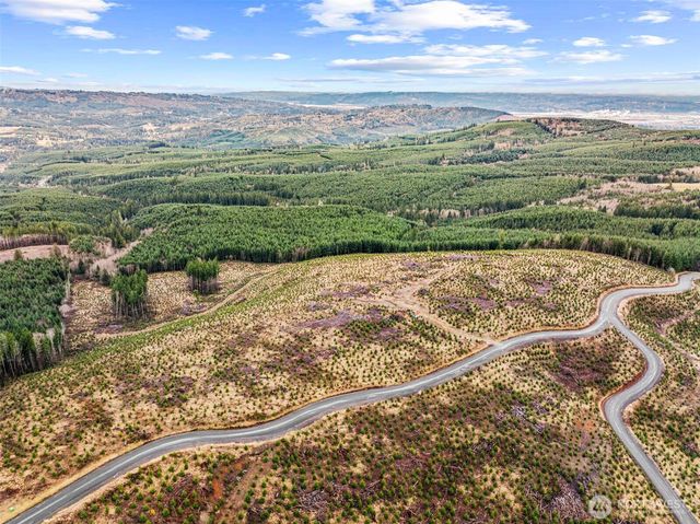 0 Lot 2 Mt Brynion Road, Kelso, WA 98626