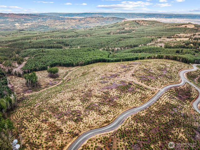 0 Lot 2 Mt Brynion Road, Kelso, WA 98626