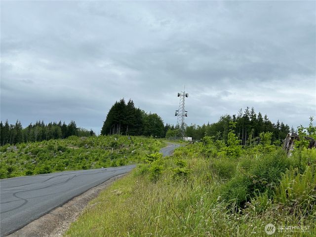 0 Lot 2 Mt Brynion Road, Kelso, WA 98626