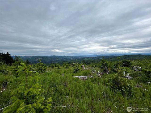 0 Lot 2 Mt Brynion Road, Kelso, WA 98626