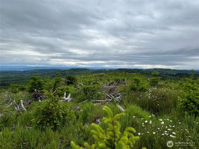 0 Lot 2 Mt Brynion Road, Kelso, WA 98626