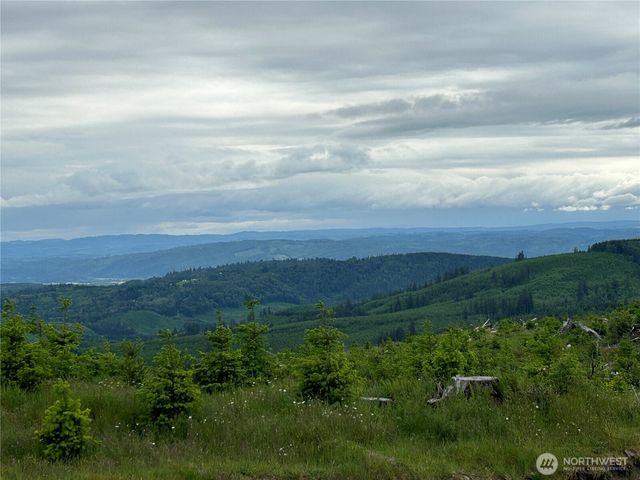 0 Lot 2 Mt Brynion Road, Kelso, WA 98626