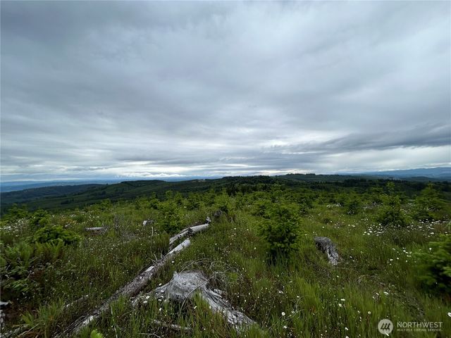0 Lot 2 Mt Brynion Road, Kelso, WA 98626