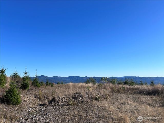 0 Lot 2 Mt Brynion Road, Kelso, WA 98626