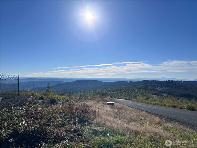 0 Lot 2 Mt Brynion Road, Kelso, WA 98626