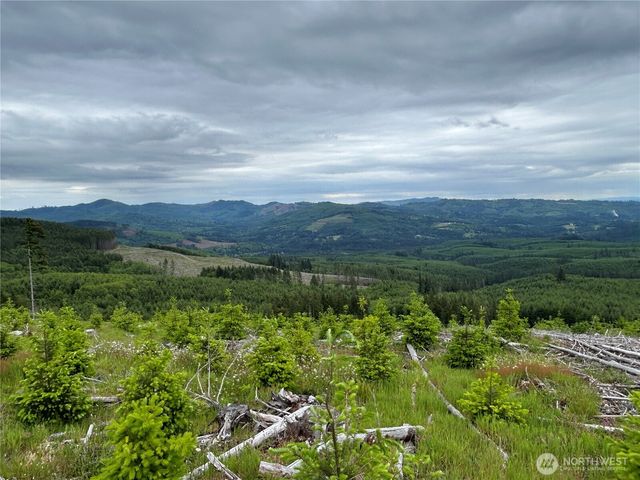 0 Lot 2 Mt Brynion Road, Kelso, WA 98626
