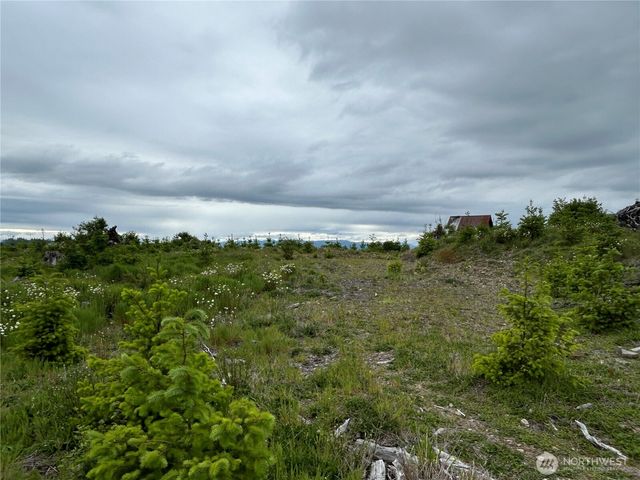 0 Lot 2 Mt Brynion Road, Kelso, WA 98626