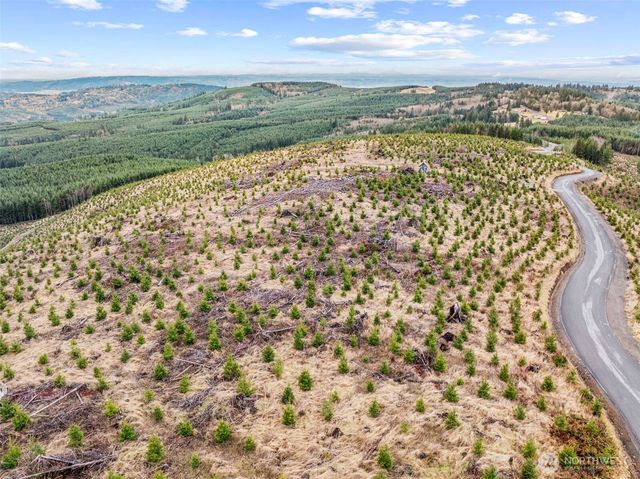0 Lot 2 Mt Brynion Road, Kelso, WA 98626