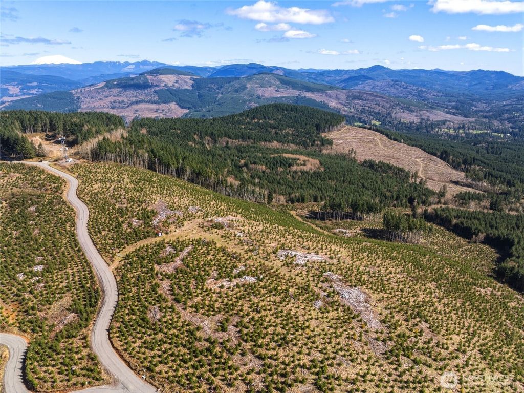 0 Lot 2 Mt Brynion Road, Kelso, WA 98626