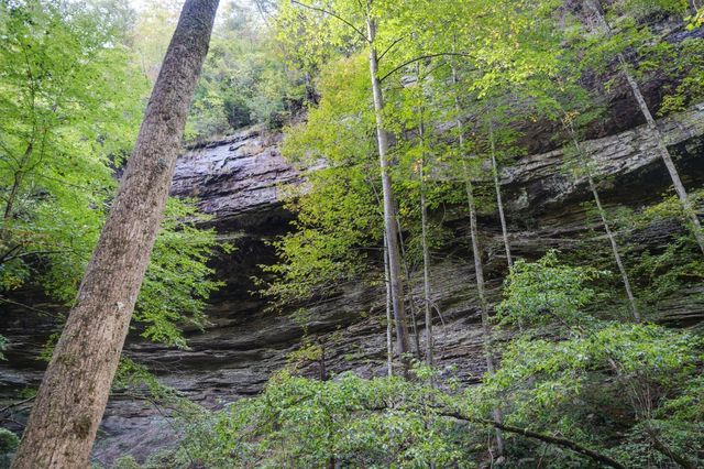 75B Deer Lick Trail, Monteagle, TN 37356