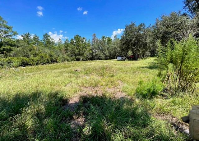 STEWARD ROAD, Eustis, FL 32726