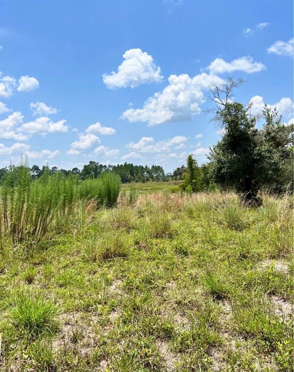 STEWARD ROAD, Eustis, FL 32726