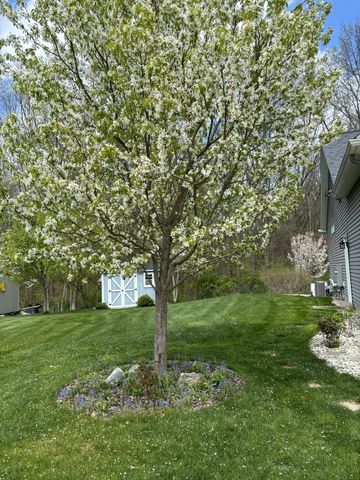 1164 Hawkins Court, Kalamazoo, MI 49009