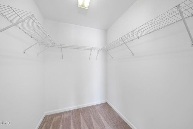 2211 Raven Road 102, Raleigh, NC 27614