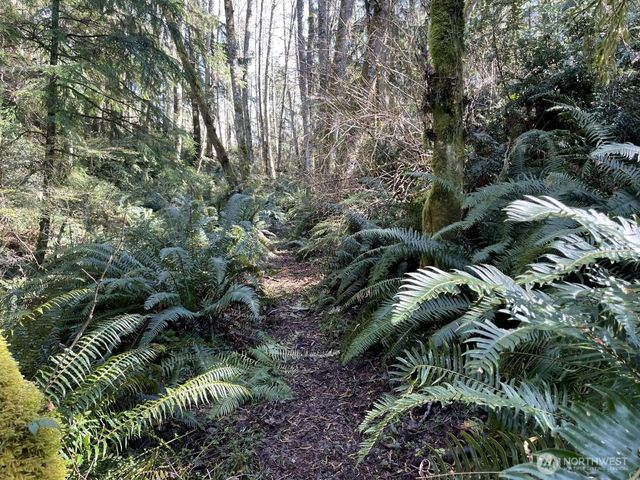 2497 Goss Ridge Road, Freeland, WA 98249