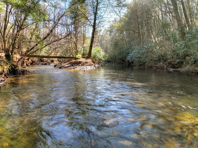 129 Old Bend Road, Blue Ridge, GA 30560