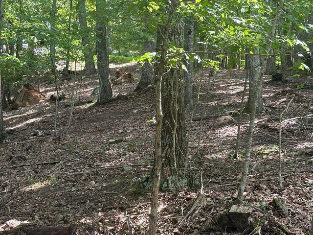 LOT 7C Timber Bend, Blairsville, GA 30512