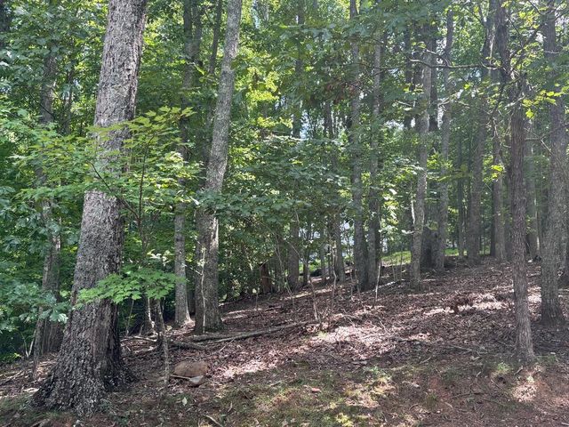 LOT 7C Timber Bend, Blairsville, GA 30512