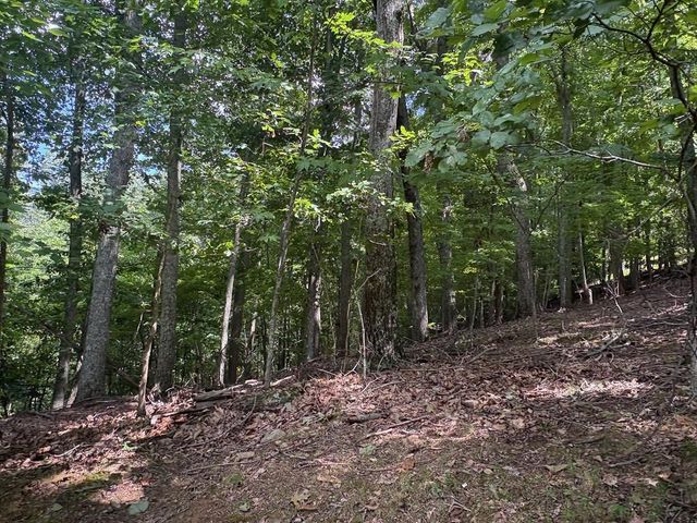 LOT 7C Timber Bend, Blairsville, GA 30512