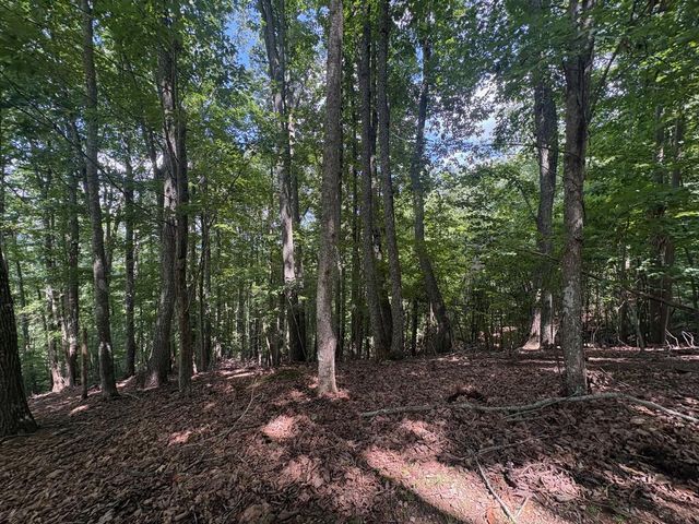 LOT 7C Timber Bend, Blairsville, GA 30512