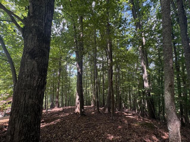 LOT 7C Timber Bend, Blairsville, GA 30512