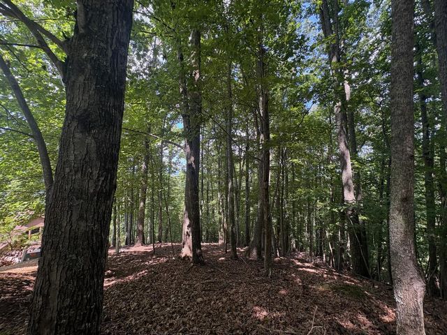 LOT 7C Timber Bend, Blairsville, GA 30512