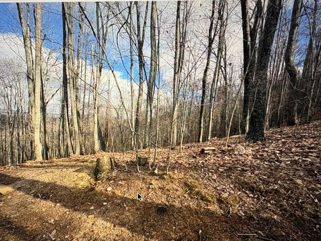 LOT 7C Timber Bend, Blairsville, GA 30512