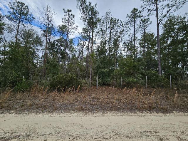 tbd NE 45TH STREET, Williston, FL 32696