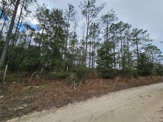 tbd NE 45TH STREET, Williston, FL 32696
