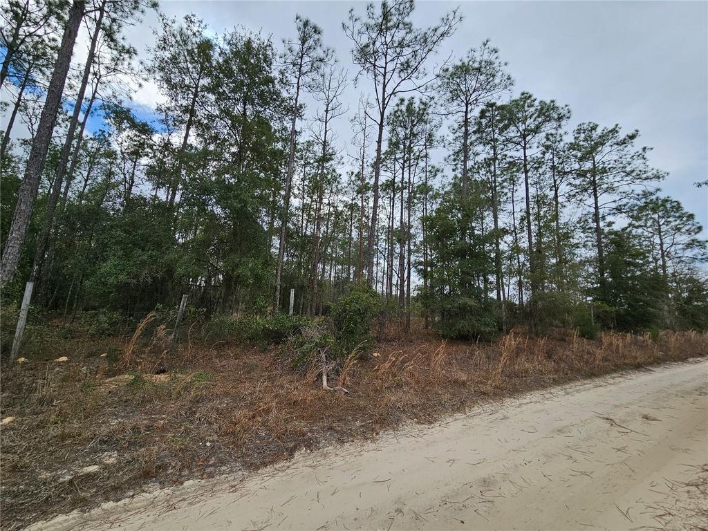 tbd NE 45TH STREET, Williston, FL 32696