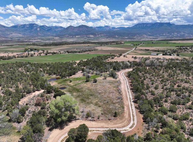 2984 Black Canyon Road, Crawford, CO 81415