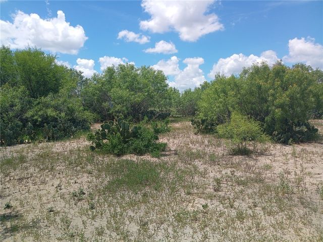 137 County Road 302, George West, TX 78022