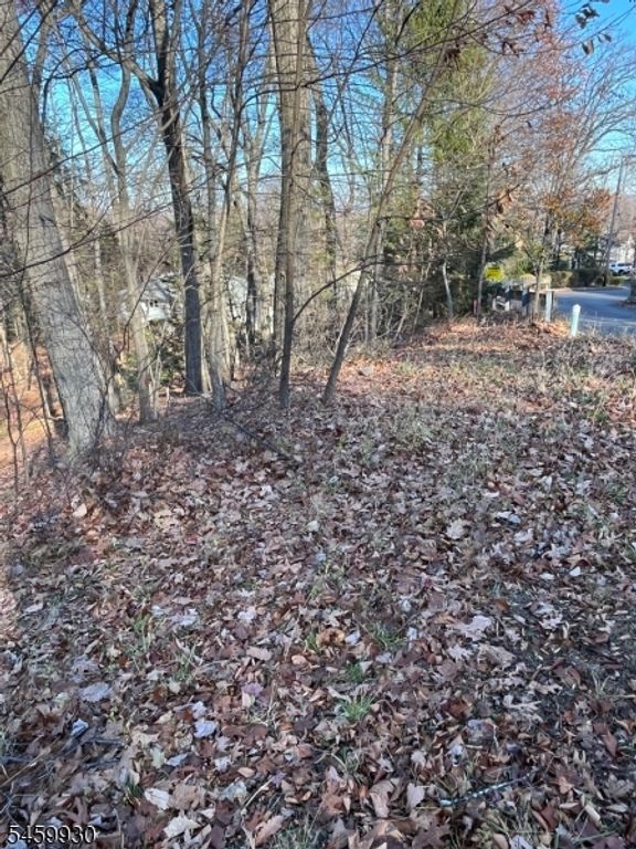 22 Mountain Rd, Denville Twp., NJ 07834 — photo 2
