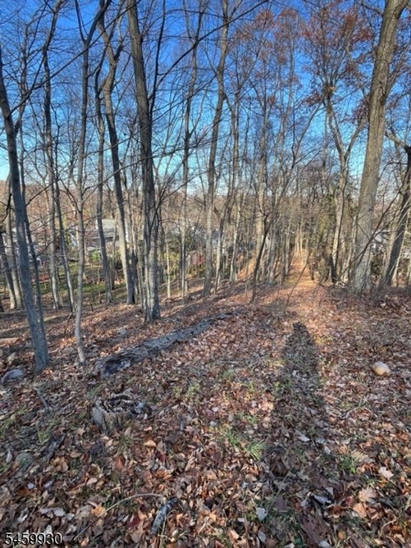 22 Mountain Rd, Denville Twp., NJ 07834 — photo 3