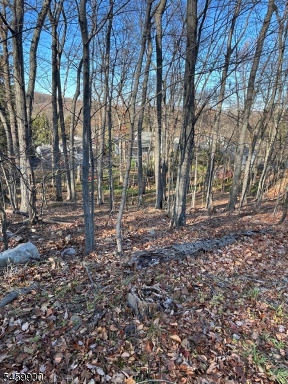 22 Mountain Rd, Denville Twp., NJ 07834 — photo 4
